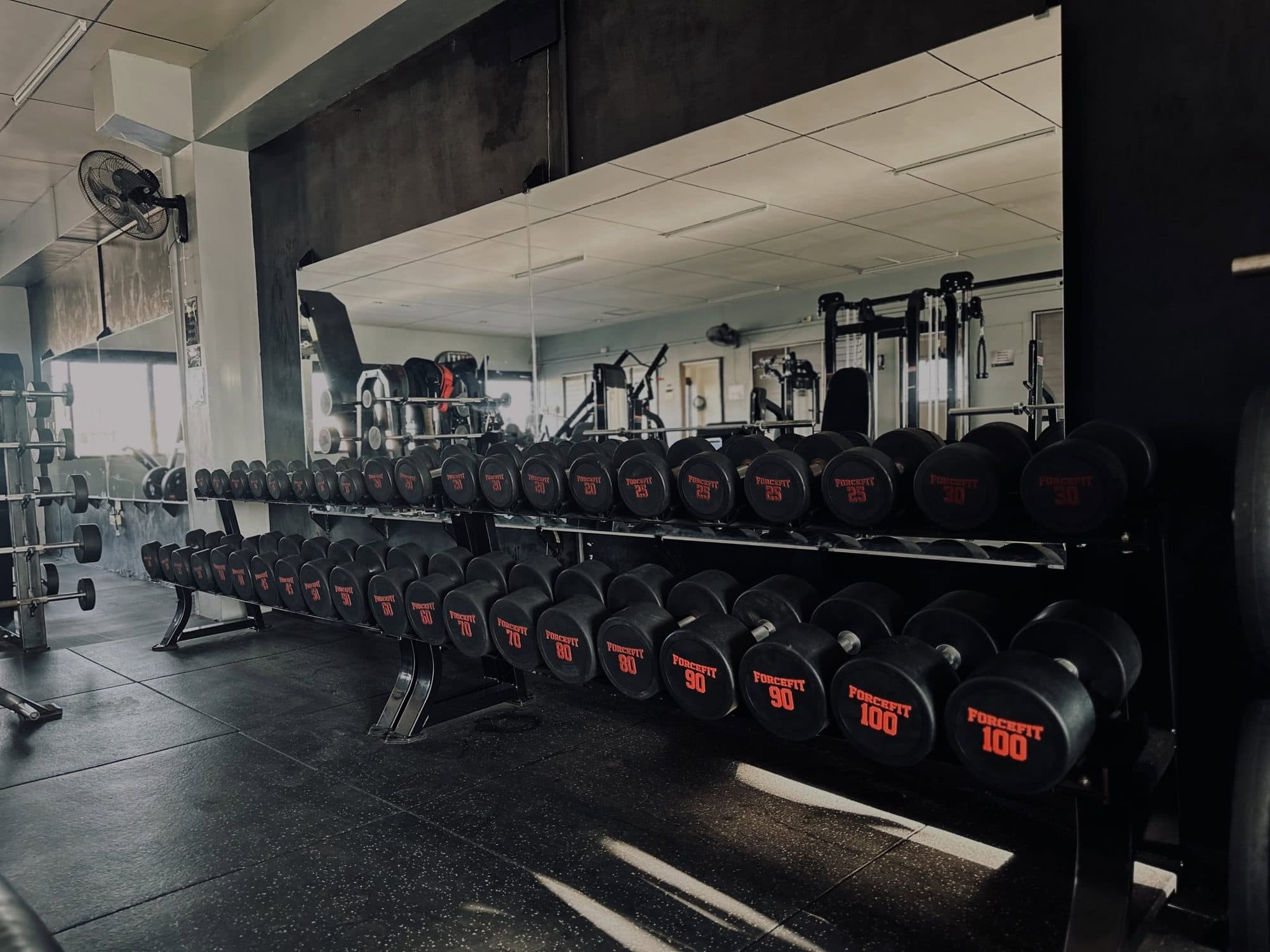The full dumbbell rack along the gym wall